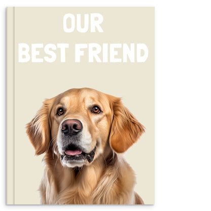 bd13a3b8-572c-42fc-97d2-8143ccde7c55